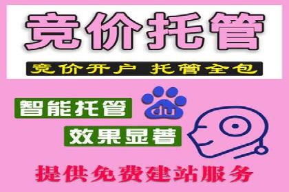 成功案例：托管竞价sem在某公司的应用与实践